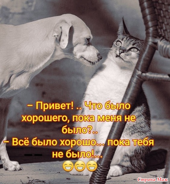     !)