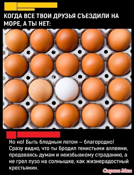   ))
