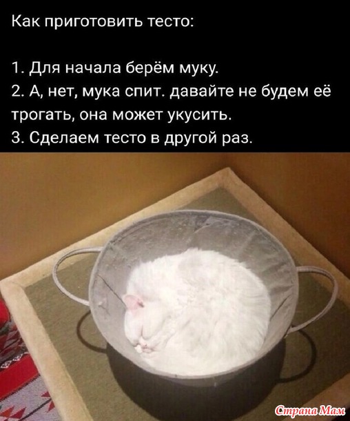    ))
