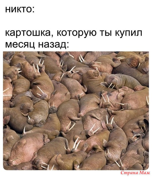 ))