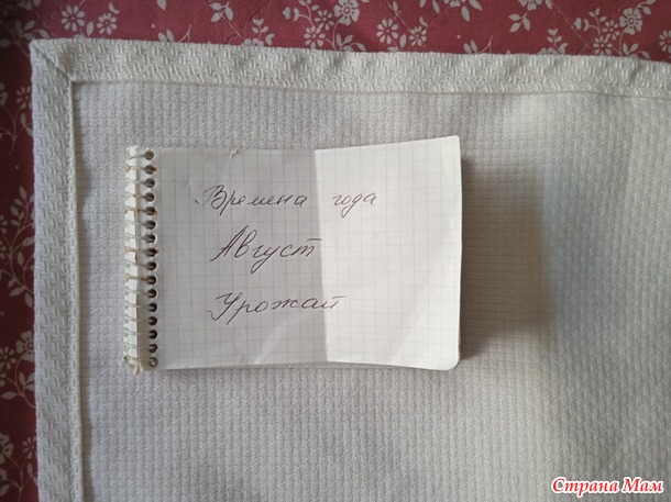 Времена года. Август. Кухонное полотенце и прихватка