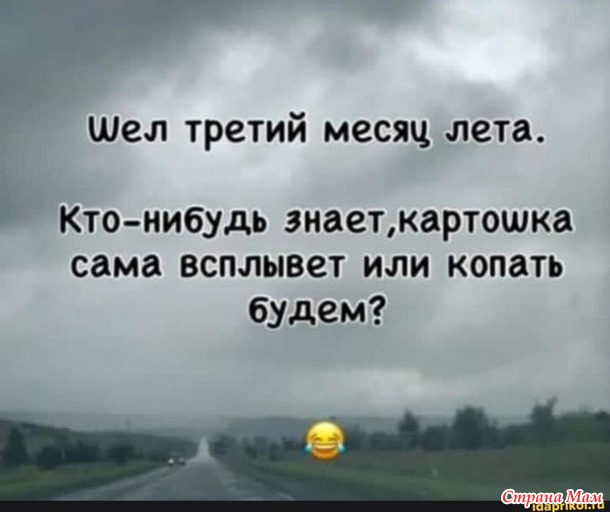  ,   )