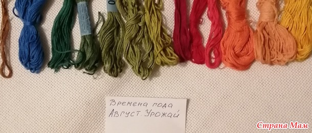Времена года. Август. Яблочки