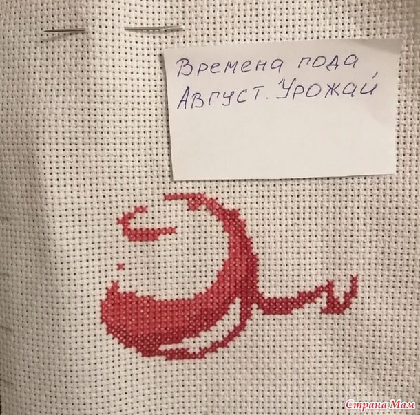 Времена года. Август. Яблочки