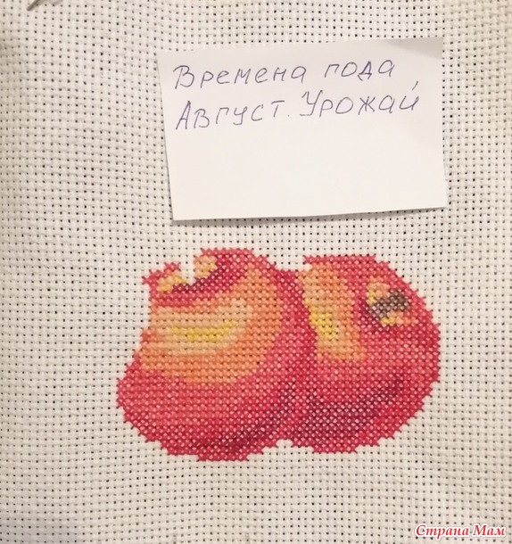 Времена года. Август. Яблочки