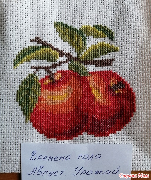 Времена года. Август. Яблочки
