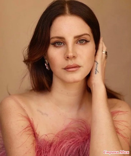    BTS       .