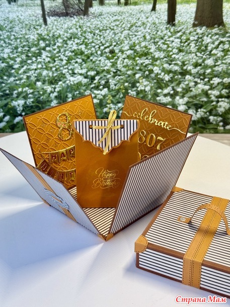 Коробочка с сюрпризом. (Magic Box)