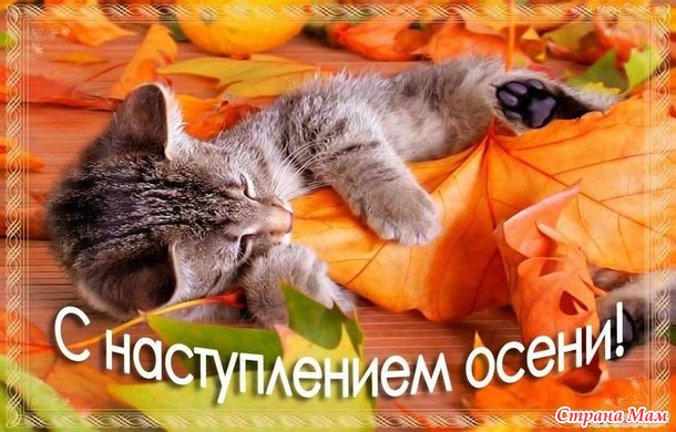 Игра "Времена года". Осень. Сентябрь