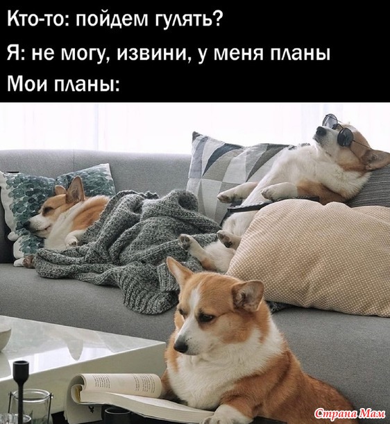 � ����������� ��� ����� ������!))