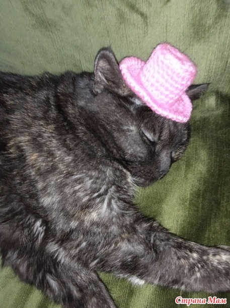 ������� ���� ������ ����� ��������� � ��������