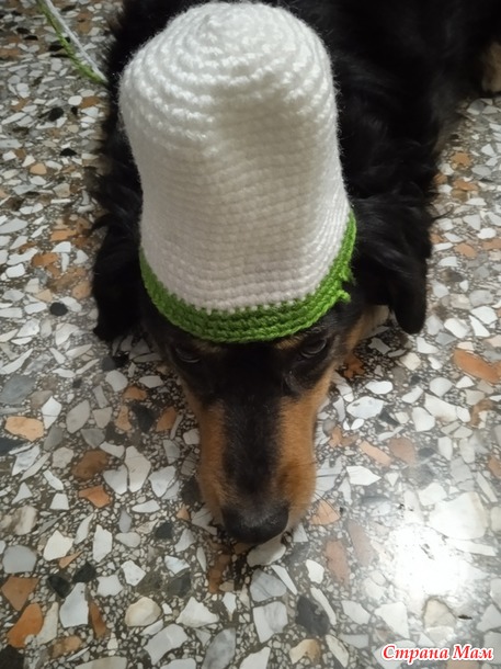 ������� ���� ������ ����� ��������� � ��������