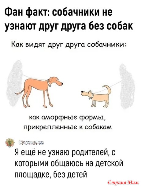 �������� ���������...)))