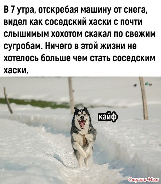 ������� ���������� �����!))