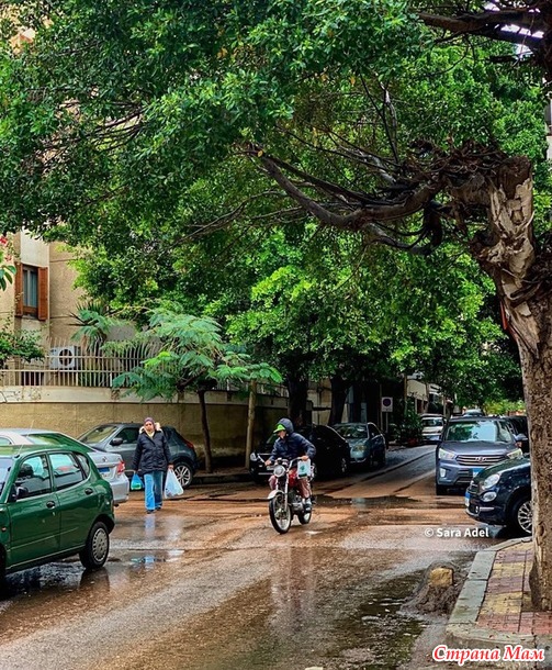 ���������� ����