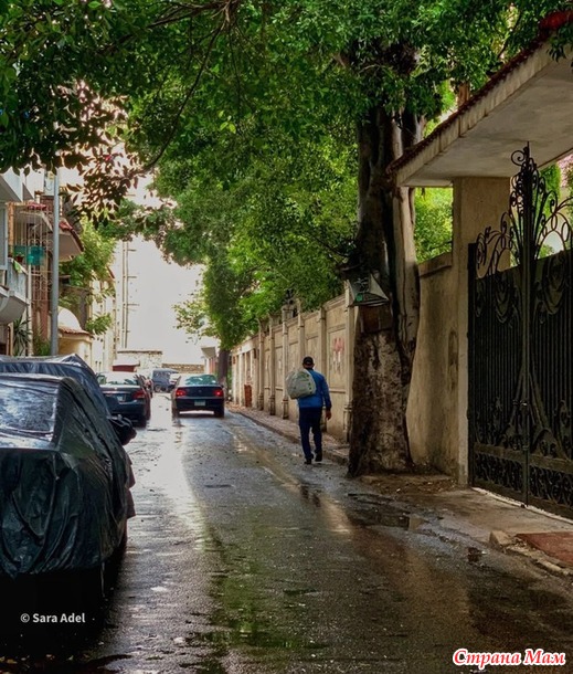 ���������� ����