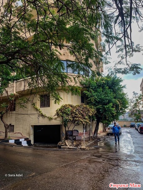 ���������� ����