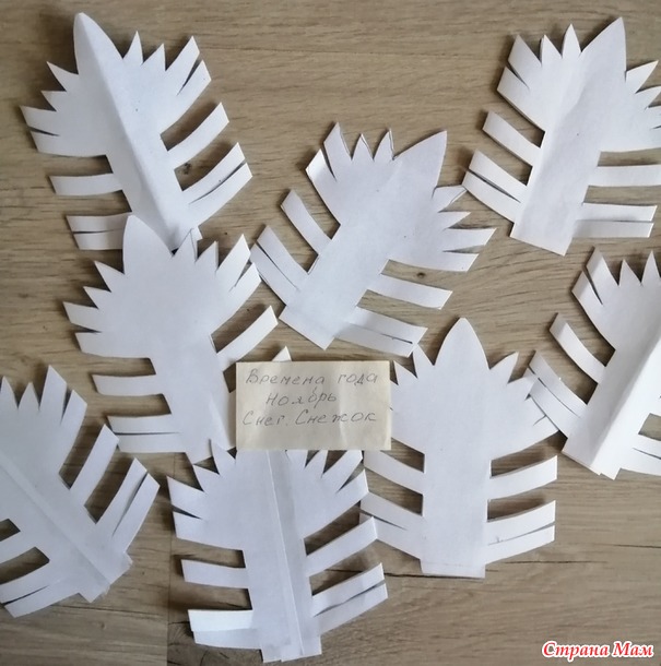 ������� ����. ���������� ��������.