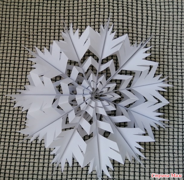 ������� ����. ���������� ��������.