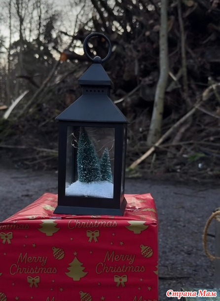 ���������� ���������. ������ ���� ������� ���.