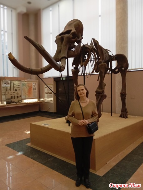 ������ �������