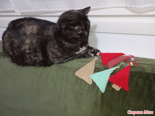 ������� ����. �������. ������� ������ �������