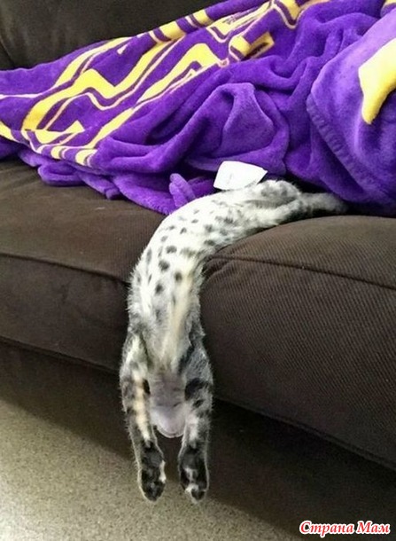 ��������� ���: ���� - �����! - 3