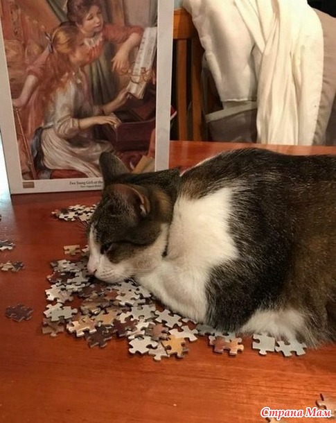 ��������� ���: ���� - �����! - 3