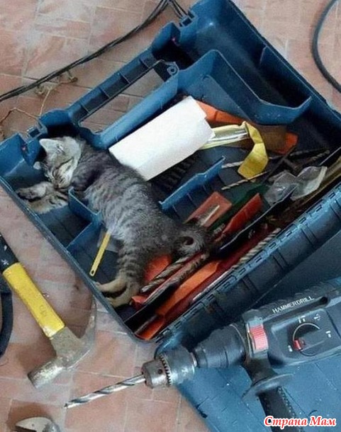 ��������� ���: ���� - �����! - 3