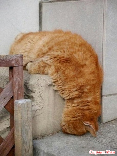 ��������� ���: ���� - �����! - 3