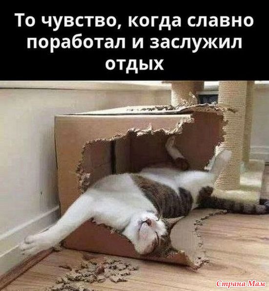 ��������� ���: ���� - �����! - 3