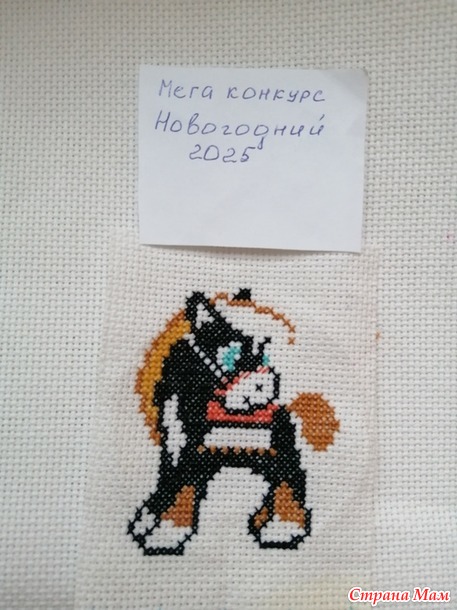 ����������� ���������� 2025. �������