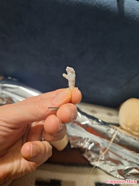 ��������. ����� �� ���� �������� 2025