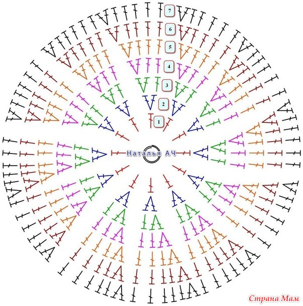 ���� ����� �������