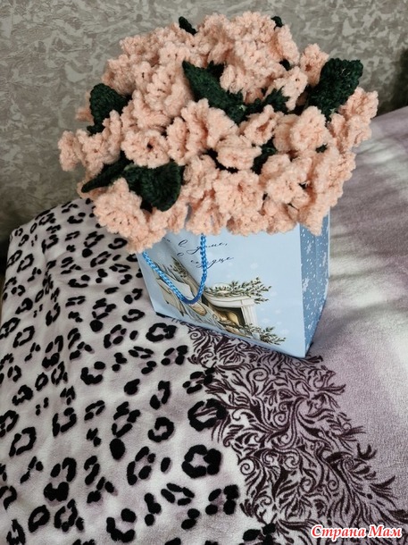 ���� ����� �������