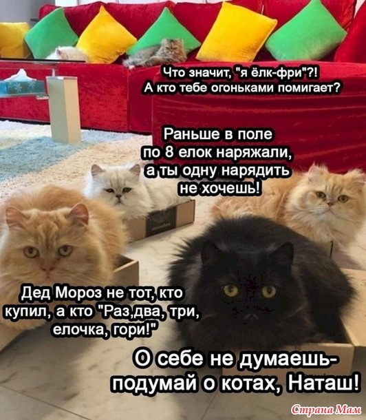 ������� � �����!