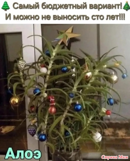 ����� ���