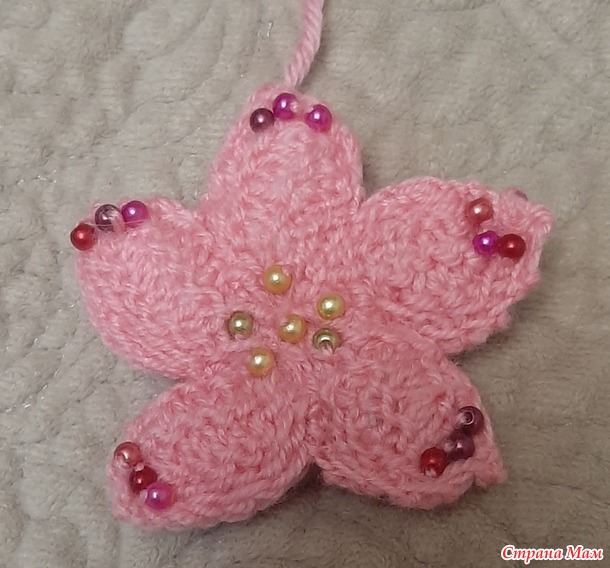 ������� 2025_�������_��������