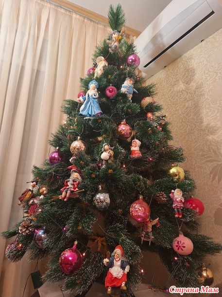 ��� ��������