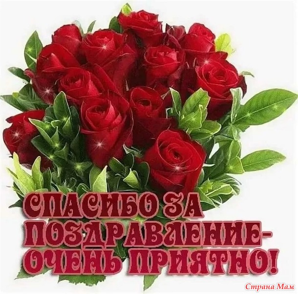 День рождения. Отчет о подарке