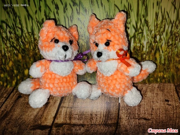 ���������-���������� ����� 2025