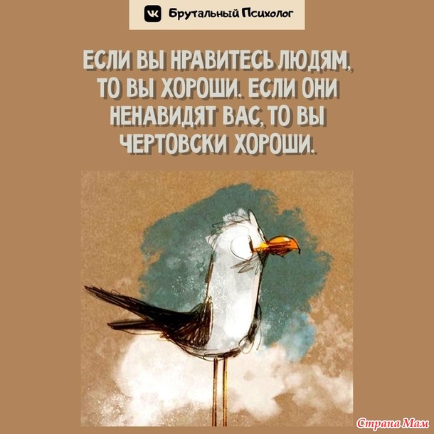  ))