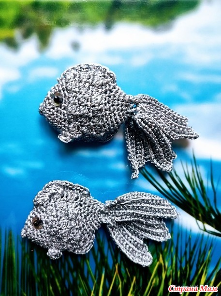 ���������-���������� ����� 2025