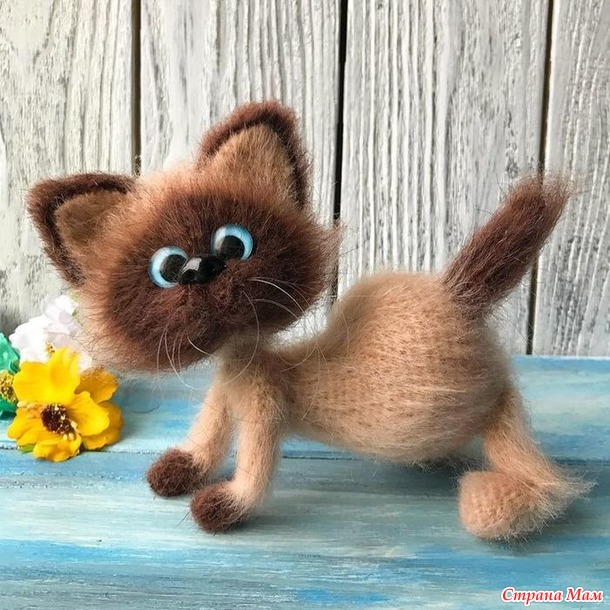 Игра "Времена года". Весна. Март. Котики