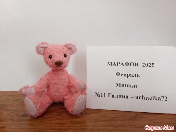 Марафон 2025. Февраль. Маленький мишка с большим сердцем