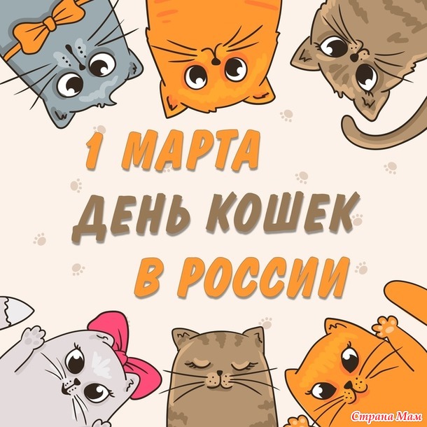 Игра "Времена года". Весна. Март. Котики