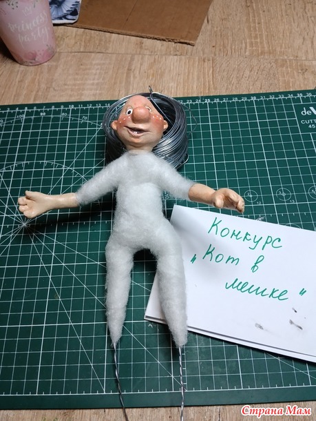 Отчет по конкурсу "Кот в мешке". Карлосон.