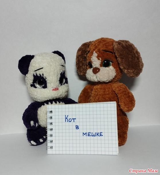 Конкурс Кот в мешке. Отчет.