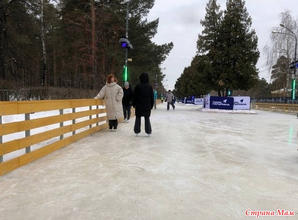 Посиделки на лавочке. Январь.