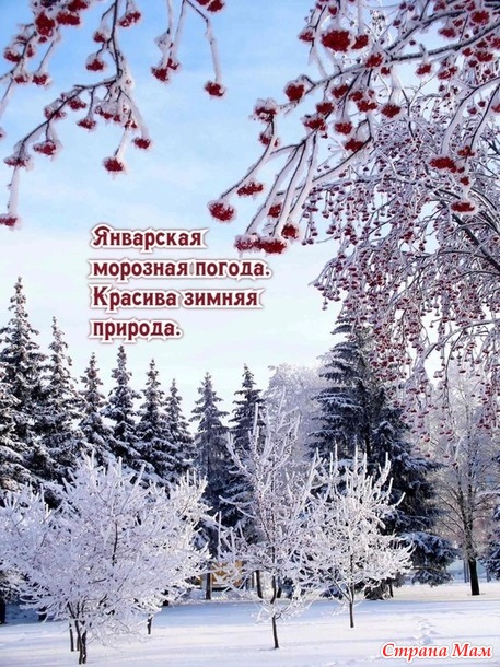 Посиделки на лавочке. Январь.